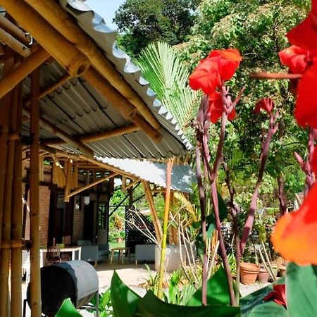 Bamboo Cottage Langkawi ปันไตเจอนัง ภายนอก รูปภาพ